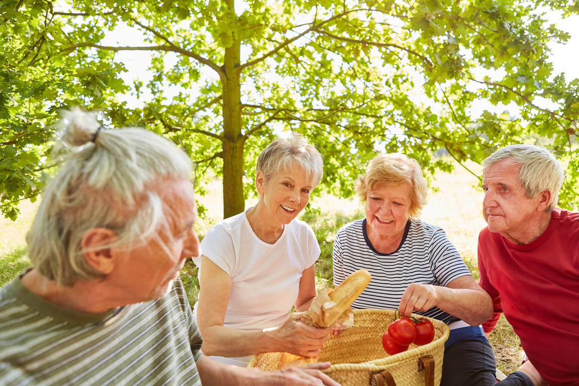 Senior Group Goes on a Picnic Excursion